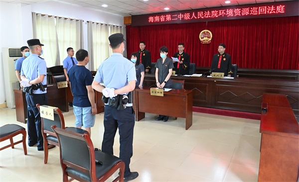 2022年5月11日，海南省第二中级人民法院环境资源巡回法庭在海南热带雨林国家公园霸王岭公开开庭审理并当庭宣判一起滥伐林木案 黄叶华 摄
