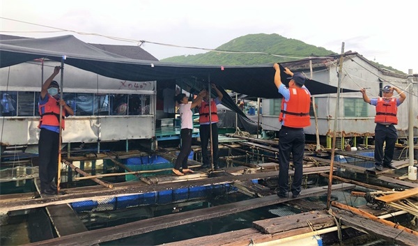 民警帮助渔民加固防雨设施_看图王
