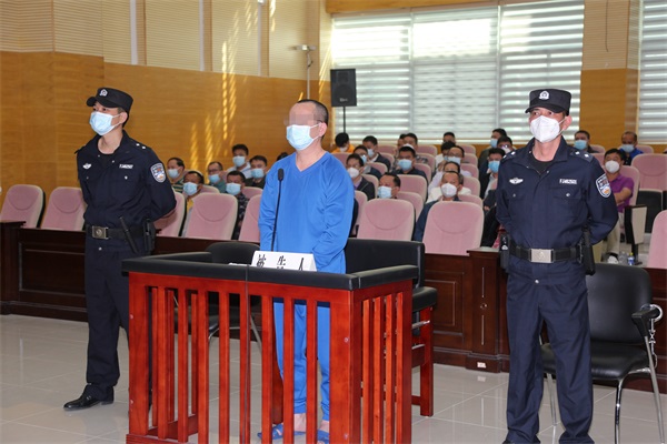 被告人林某文在庭审中