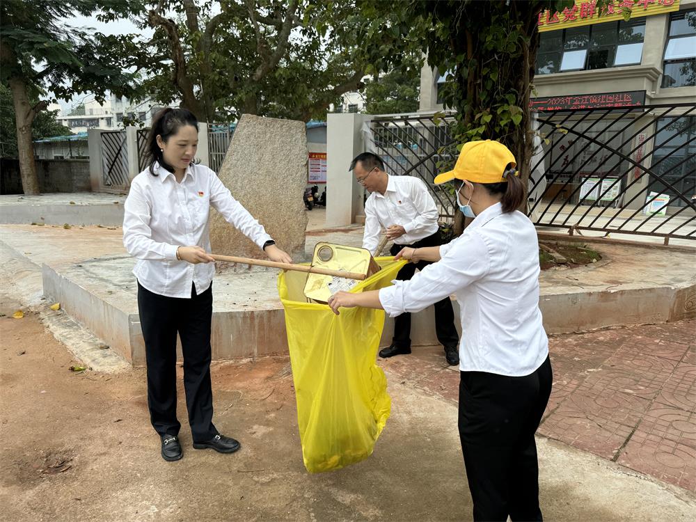 党员集中对社区内的街道进行清扫