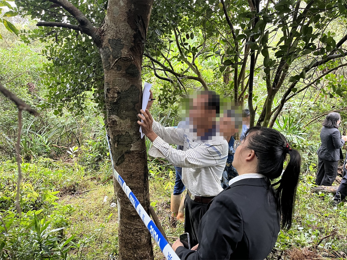 申请执行人及家属到场自行清理地上的槟榔苗后签字确认清理完毕。