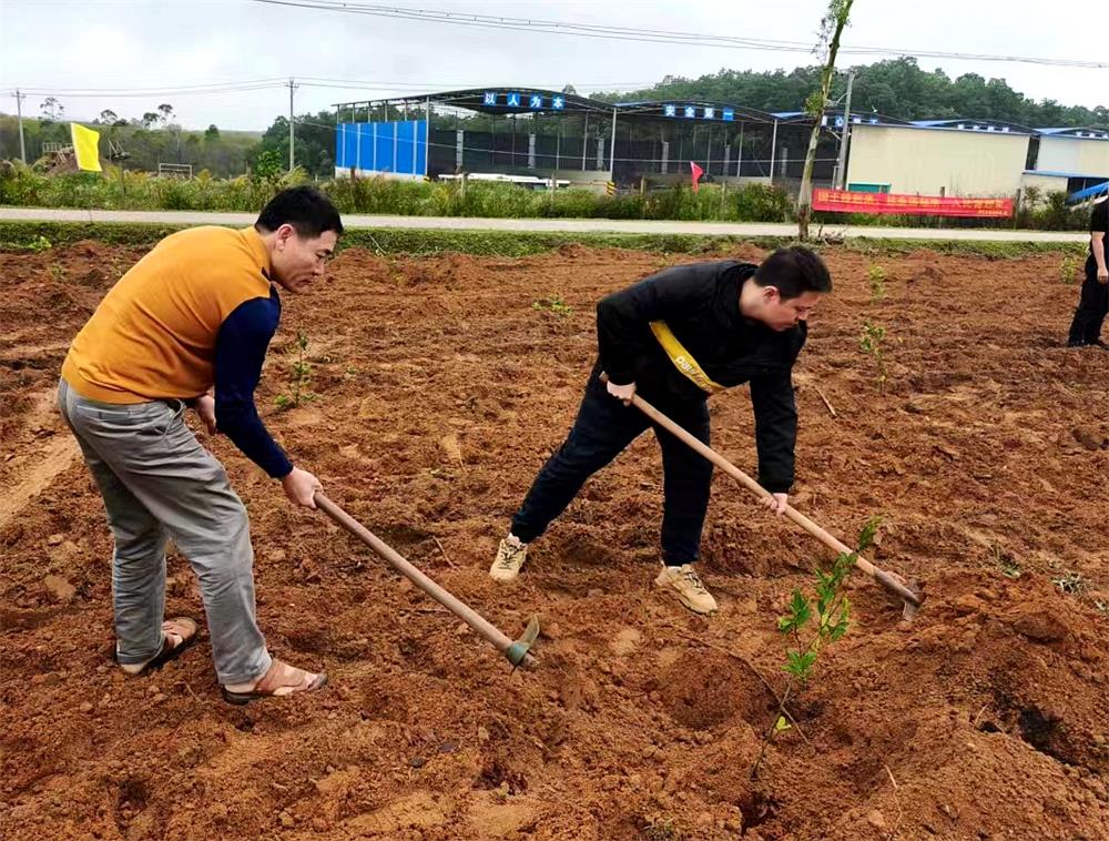 检察干警参加义务植树活动