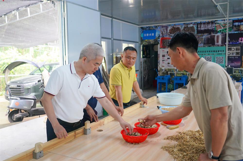 屯昌法院王再燕院长到沙田村委会调研乡村振兴工作 110