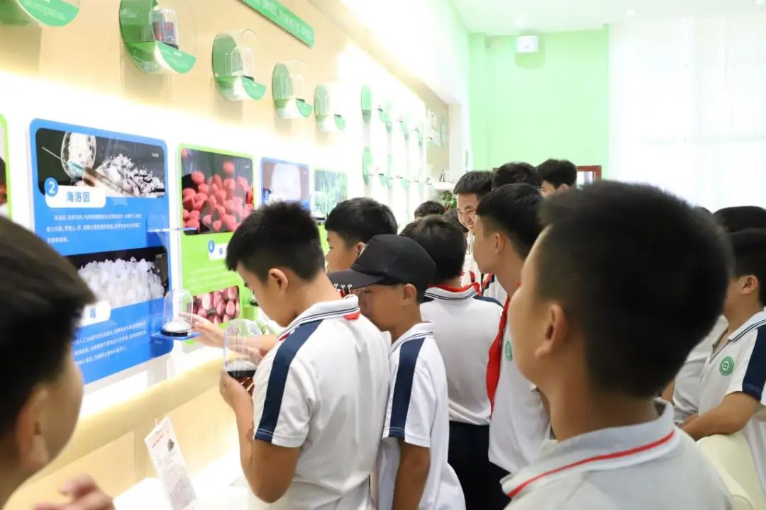 图片3
