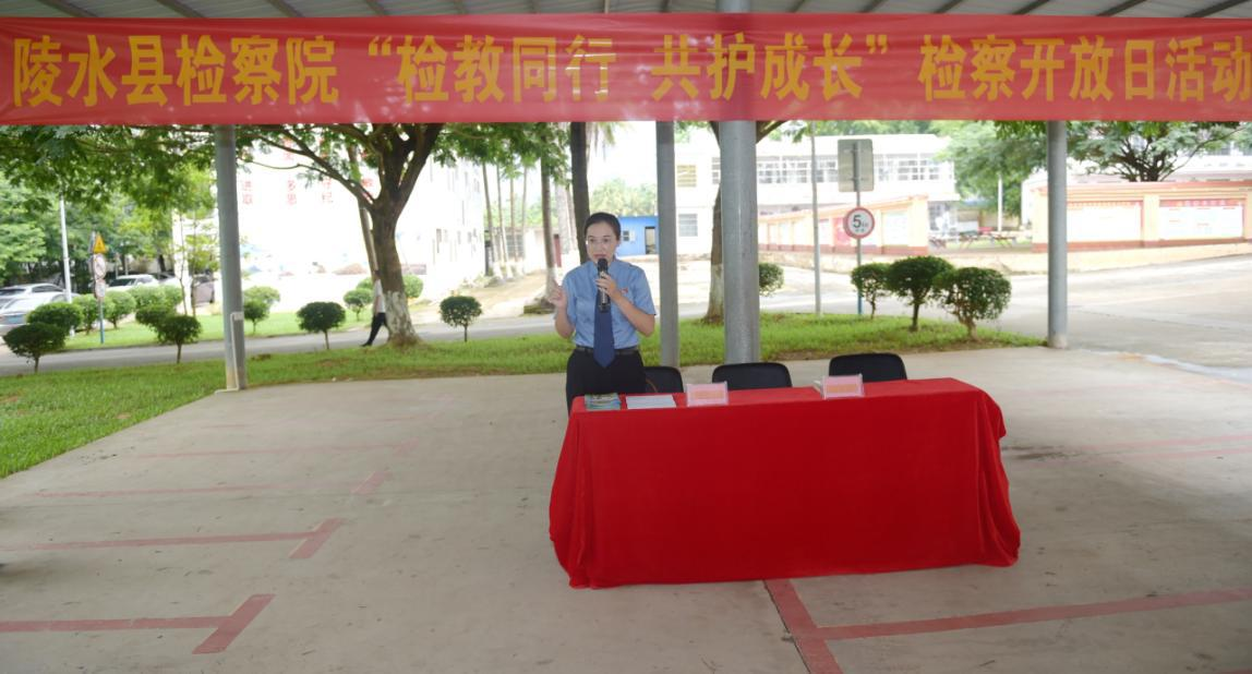 图片4