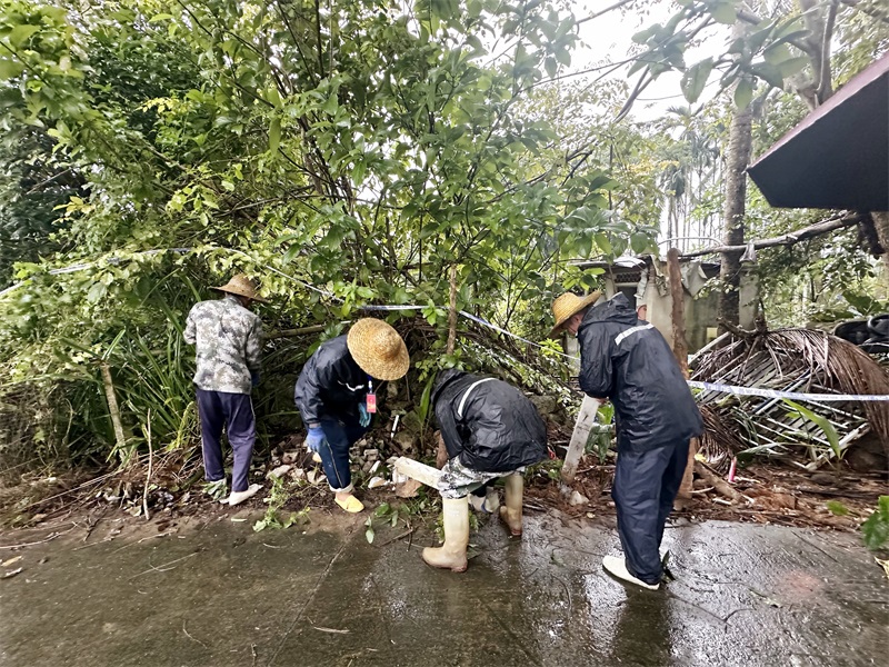 2024-12-13 屯昌法院强制执行一起排除妨害纠纷案件 (7)