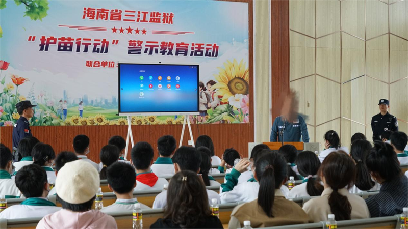 图片4