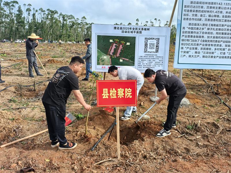 检察干警植树现场1