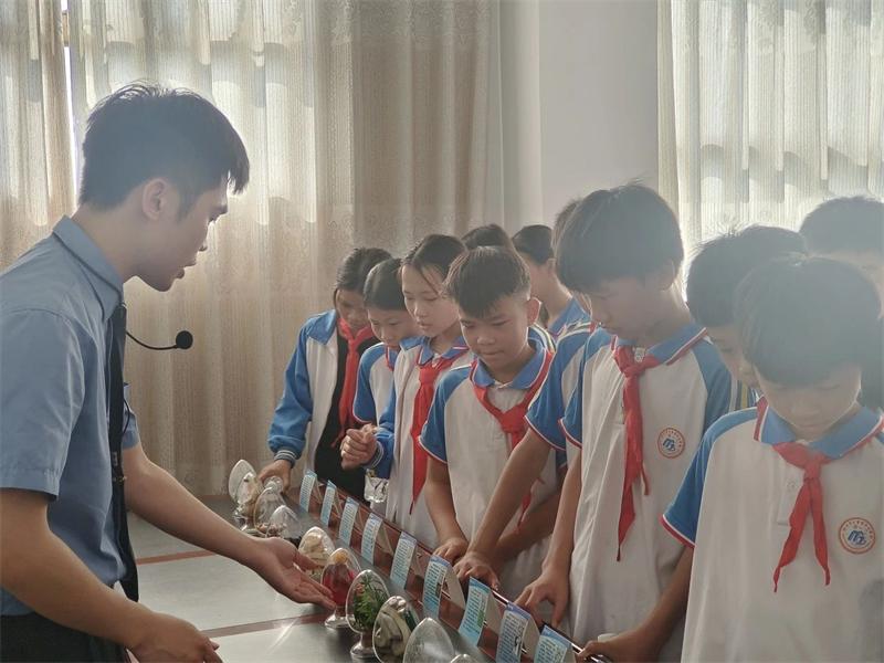 微信图片_20250519151605