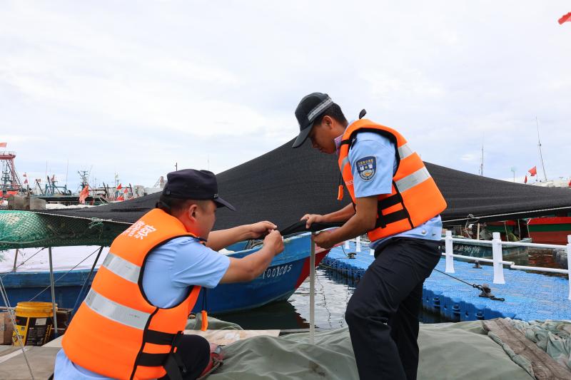 6月12日，图为港门海岸派出所民警帮助小渔船做好防风措施