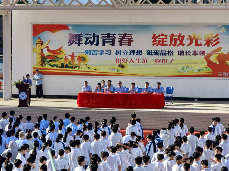 图片4