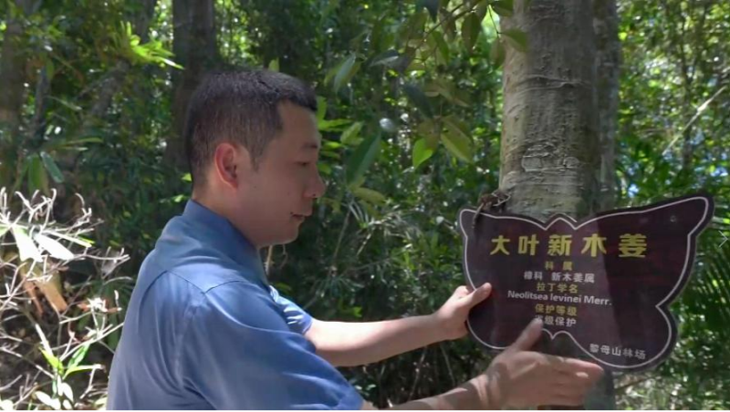 李少杰到海南热带雨林国家公园实地查看珍稀植物“身份证” 李少杰到海南热带雨林国家公园实地查看珍稀植物“身份证”