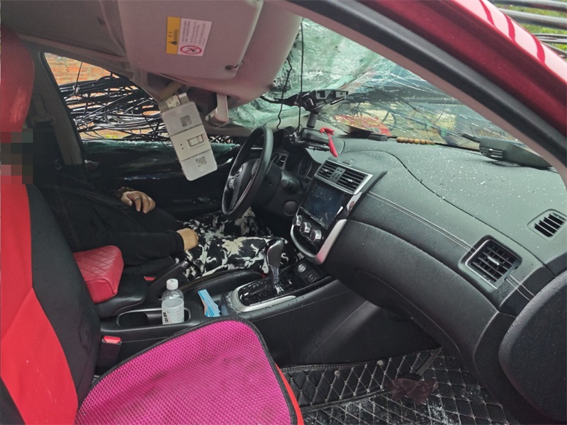 微信图片_20251104152652_1156_148_编辑 微信图片_20251104152652_1156_148_编辑